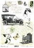 automobile, vintage car, motorist, birdcage, moth, butterfly, stamps, postage stamps, retro, vintage